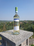 Piemonte DOC Cortese 2024, Bottero